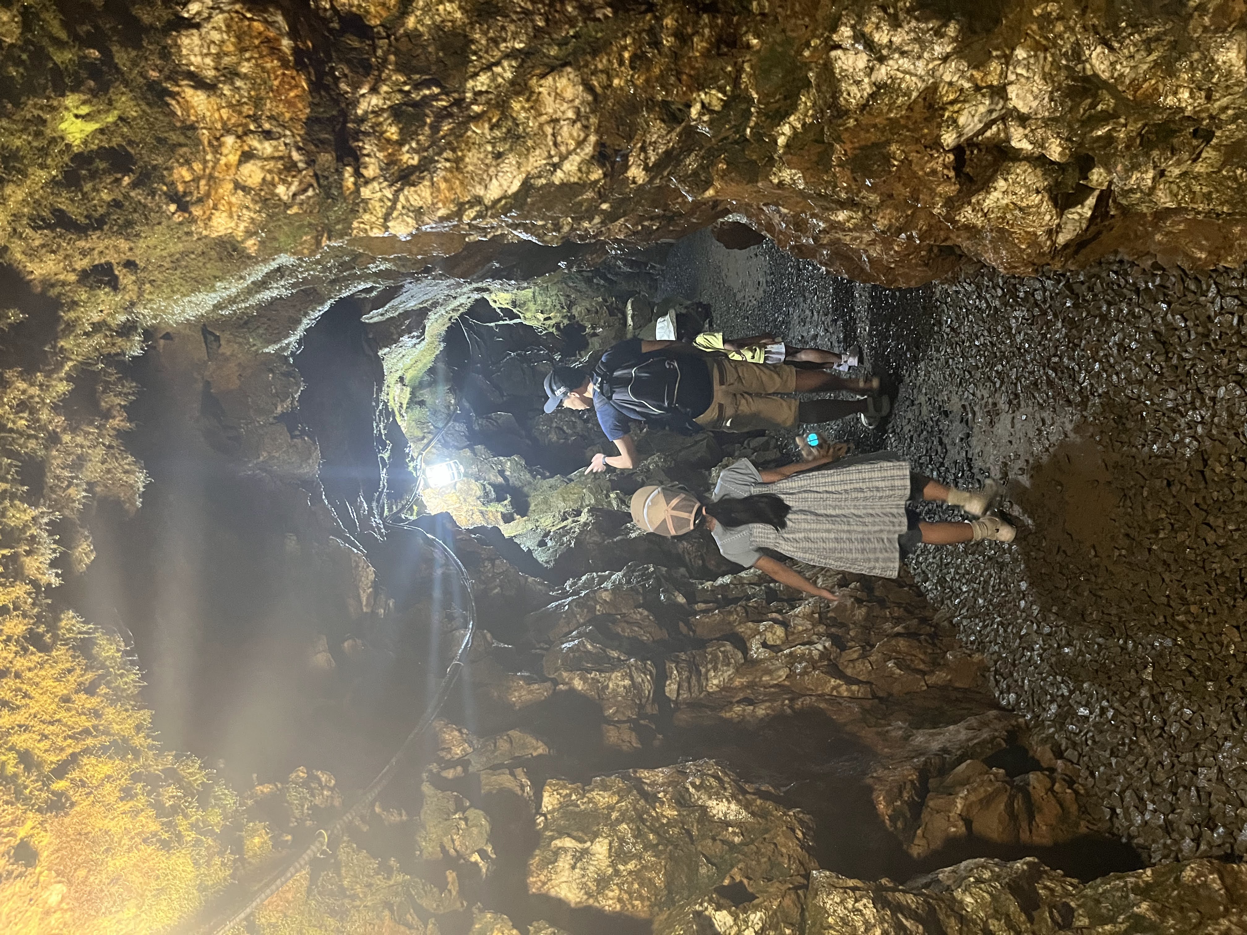 Reed Gold Mine